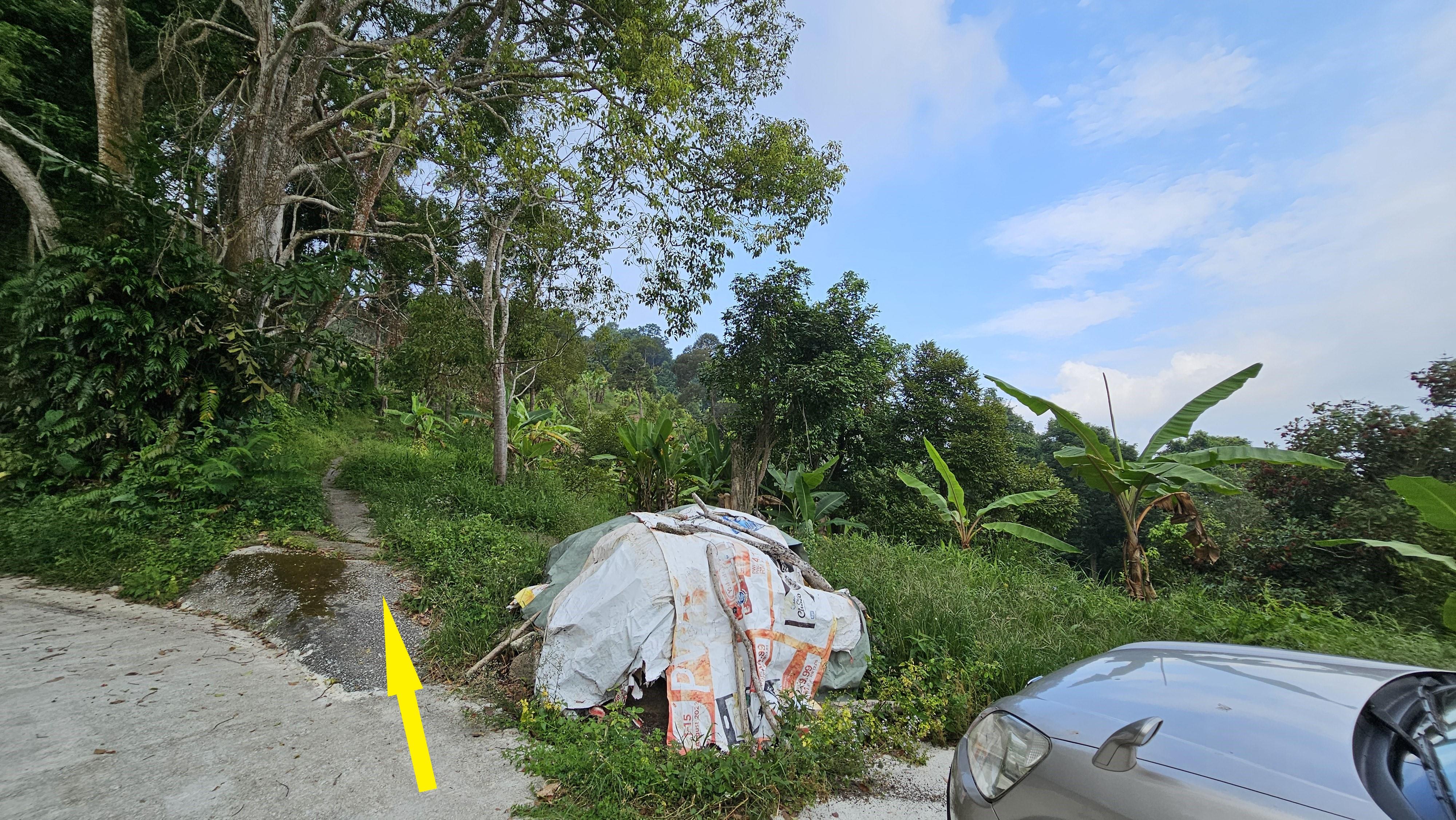 Balik Pulau Durian Orchard Lot 1475 3.727hectare 401,171sqft